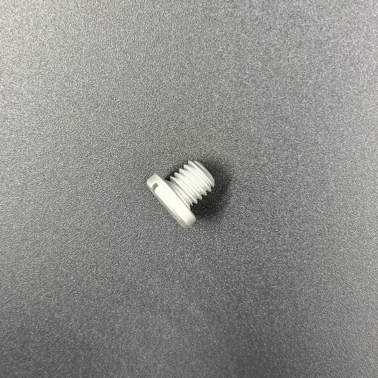 photo_2022-06-24_17-19-45