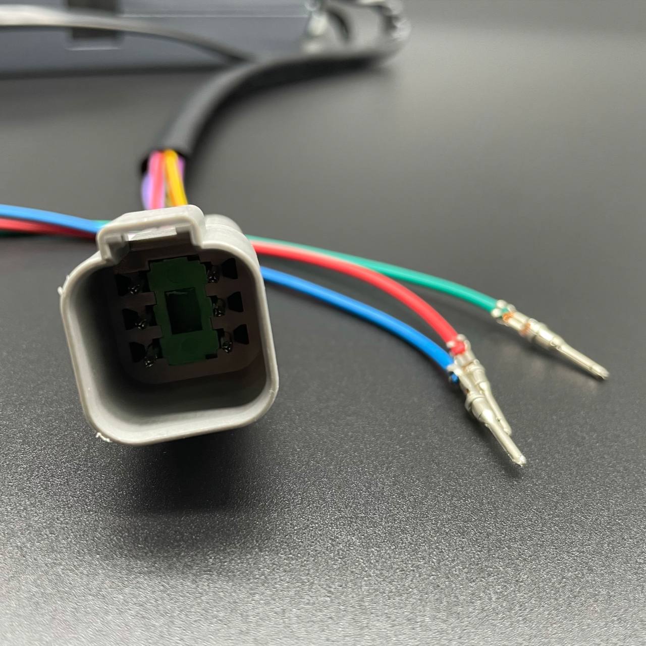 photo5303245847405899783