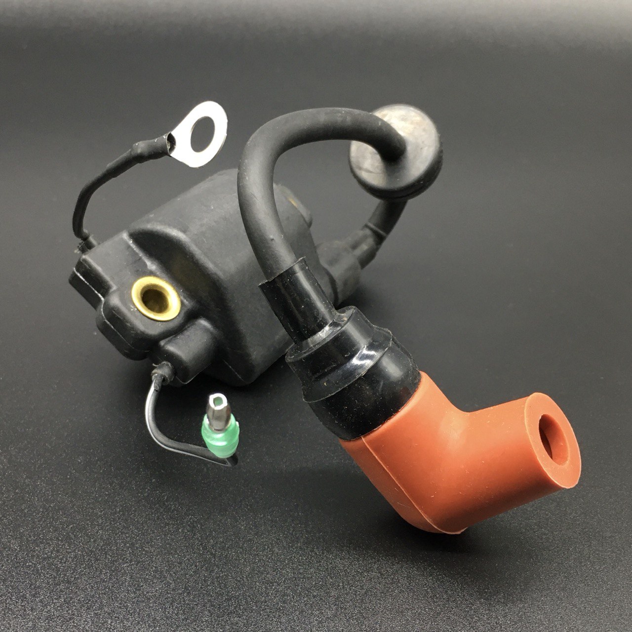 photo5226691916530298772