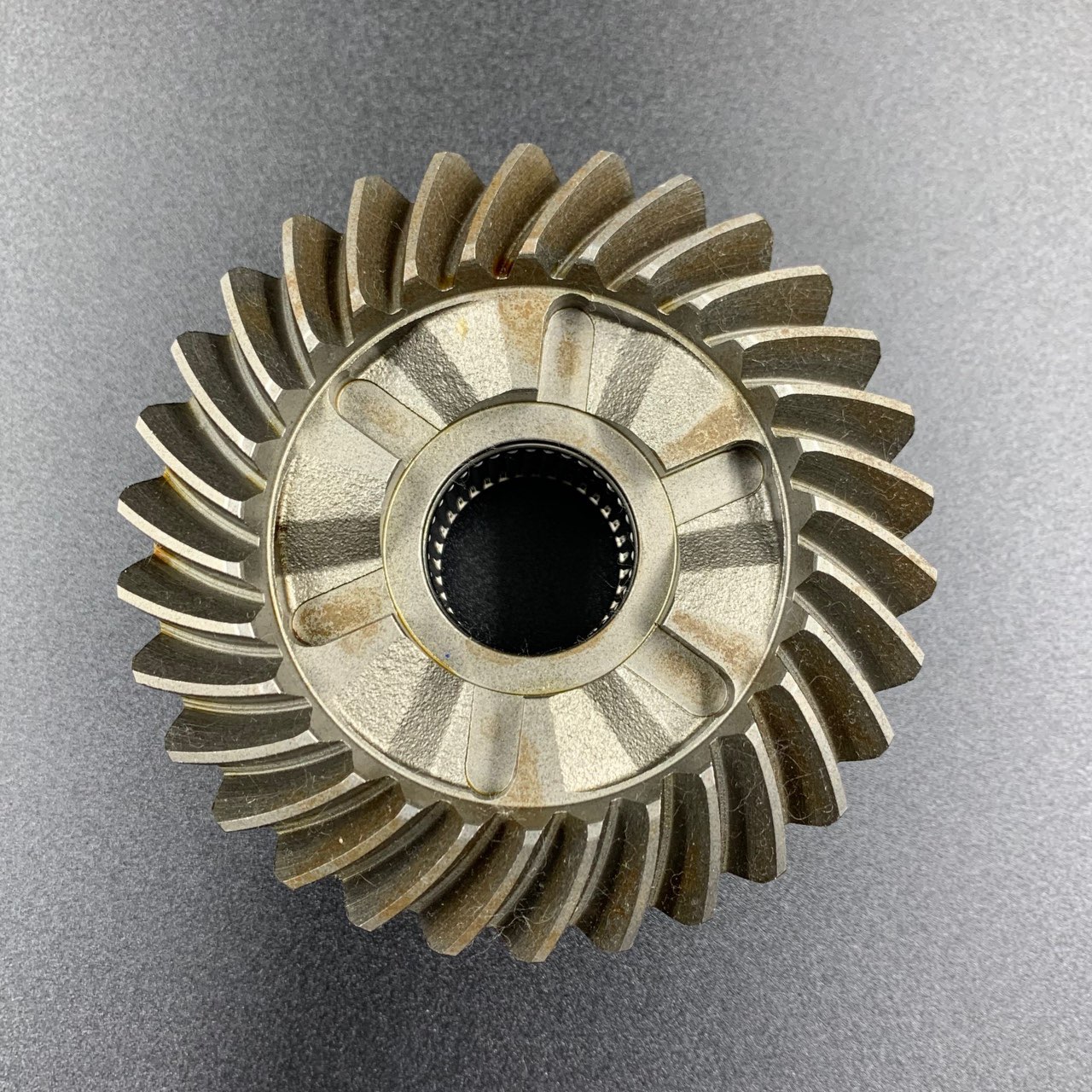 photo5424984986014035524