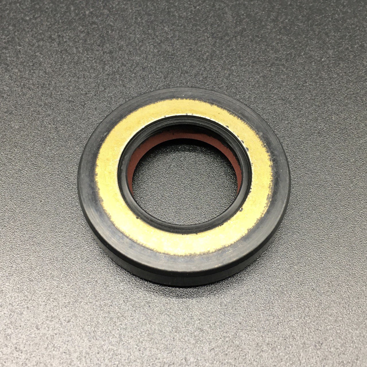 photo5260668144383537692