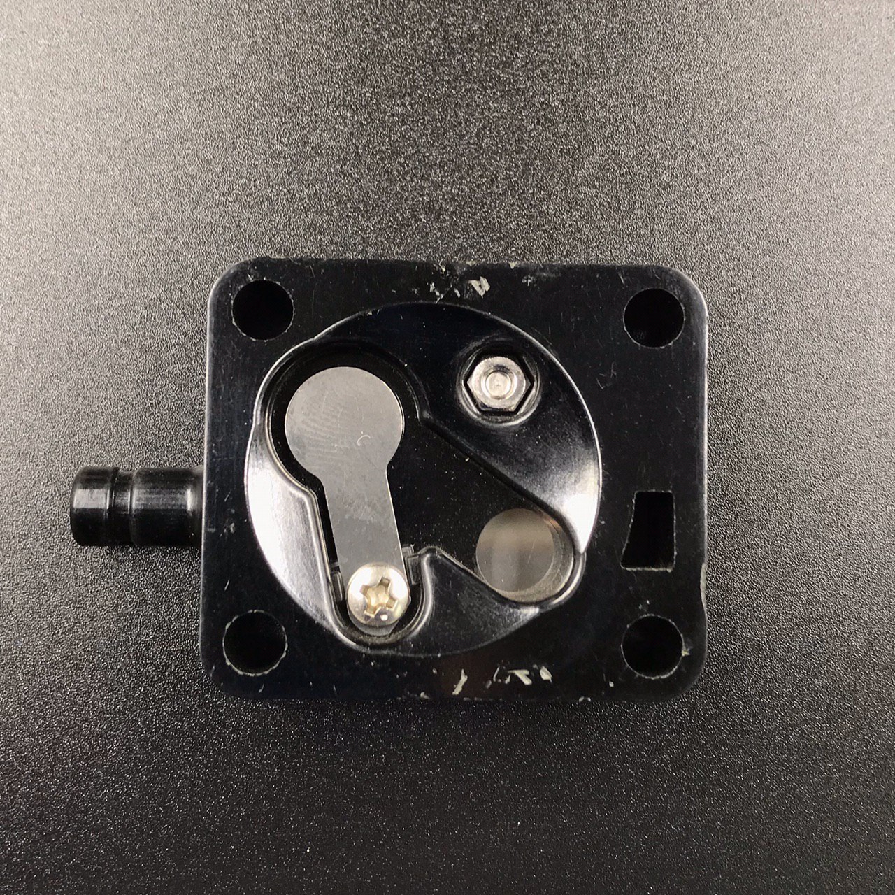 photo5305596899618827699