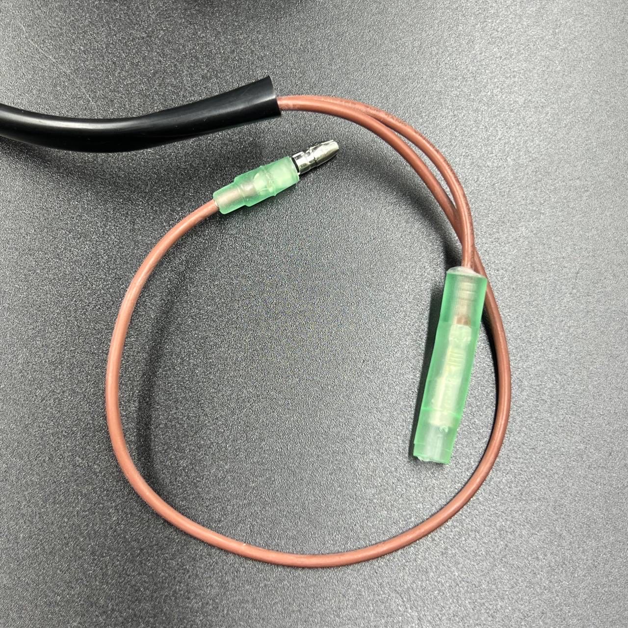 3B351AFD-A1F8-4273-B916-6CCDA99AEE4C