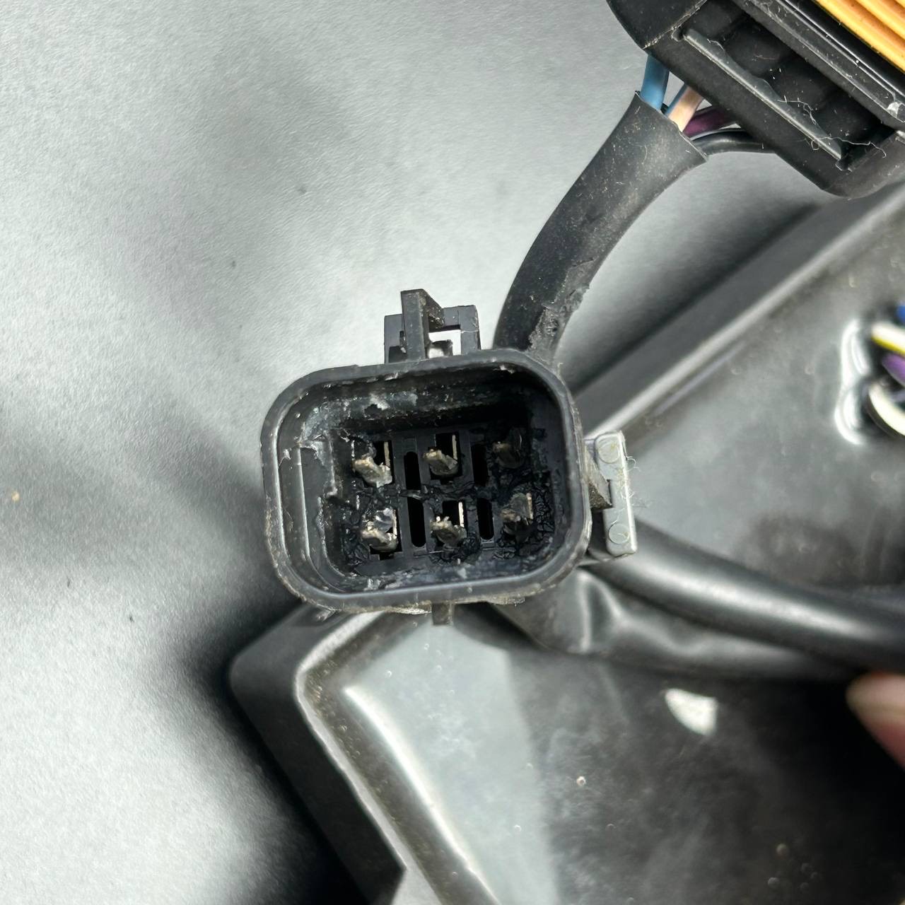 3BA47EE3-3E77-4F6C-B7A4-4DD775FDFD94