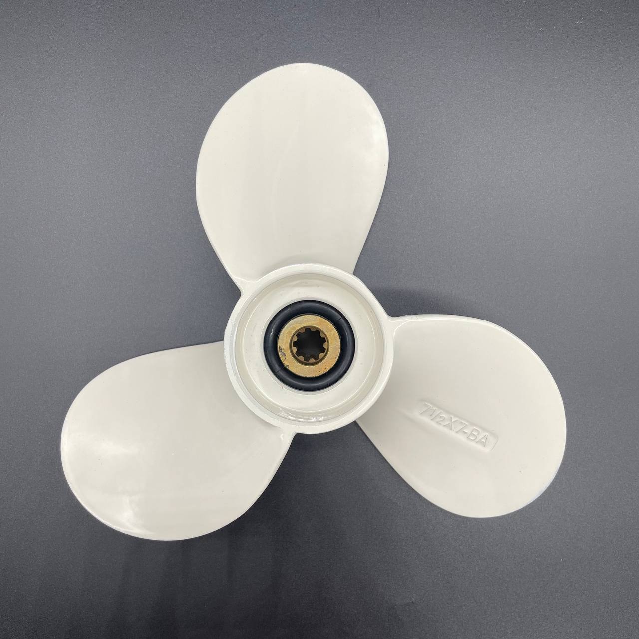 photo5292251972373688797