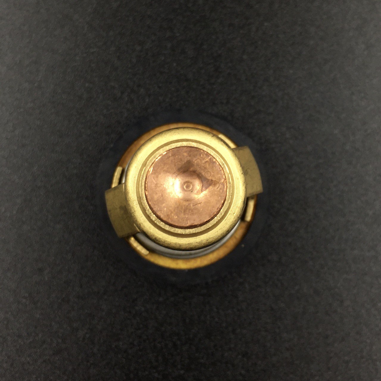 photo5368436703565557421