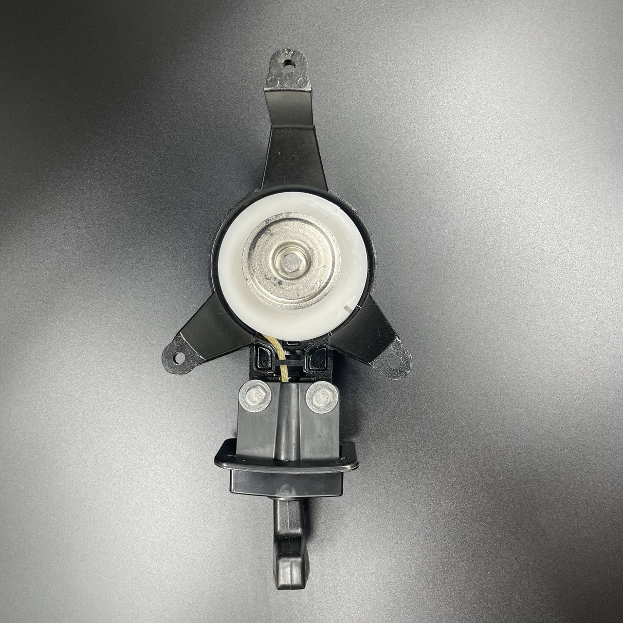 photo_2023-06-16_20-46-21