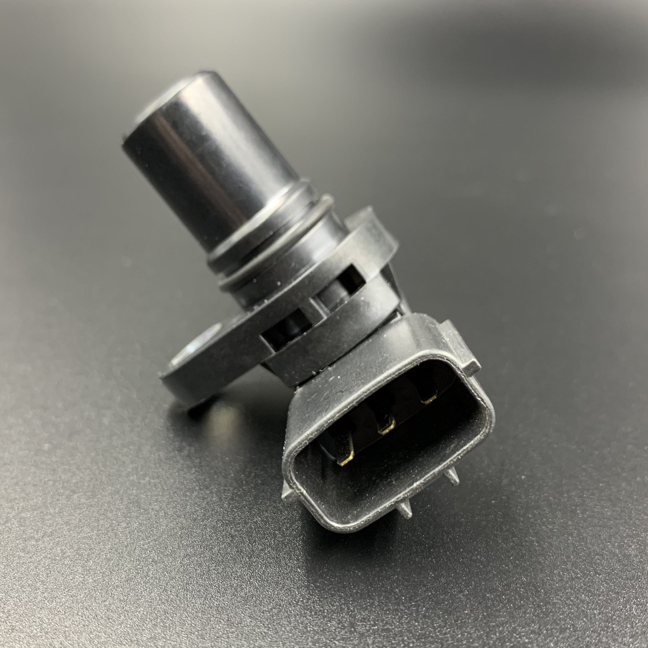 photo5415663060145778995