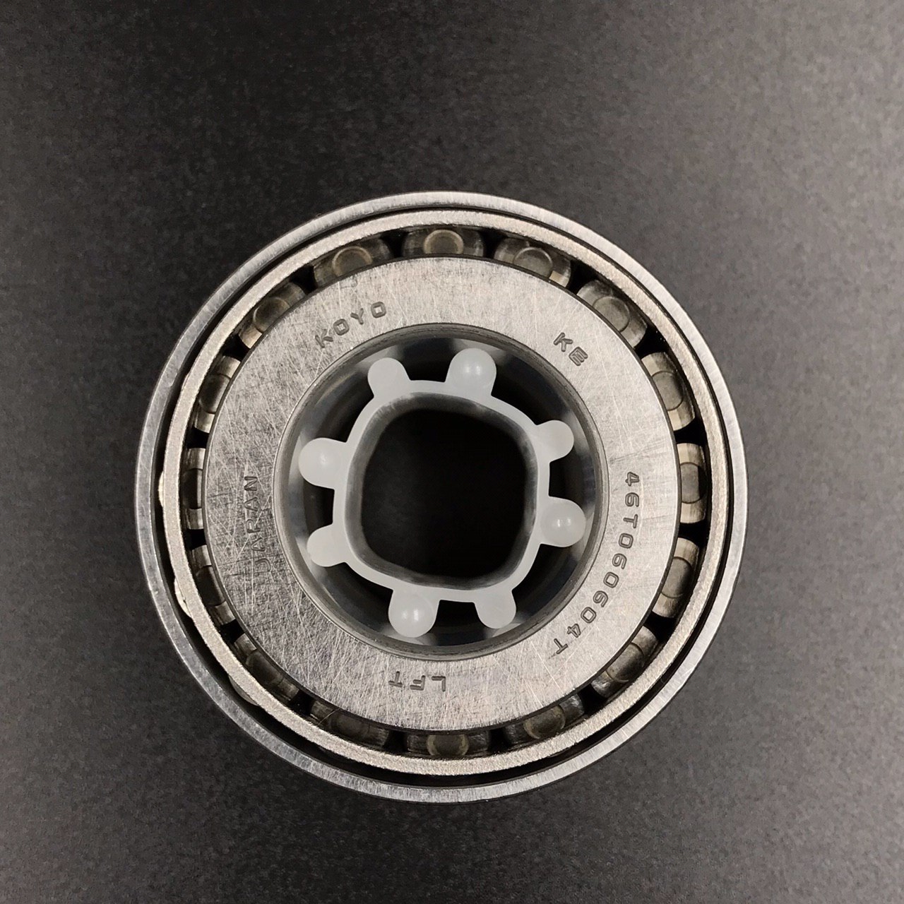 photo5316907339510557815