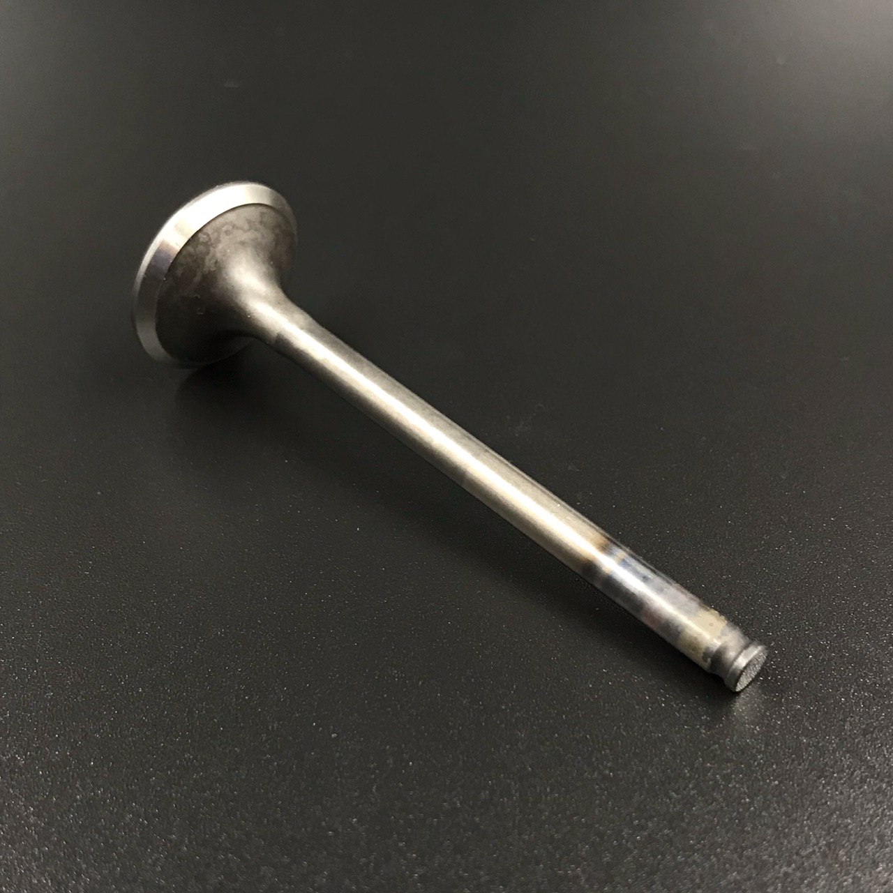 photo5309769679390223936