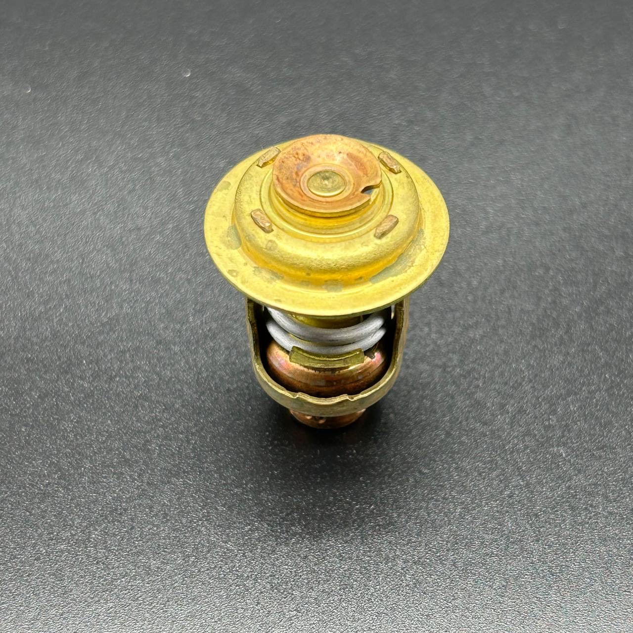 86ED1B5F-B05F-4ACE-A66A-BC3E0391CA62