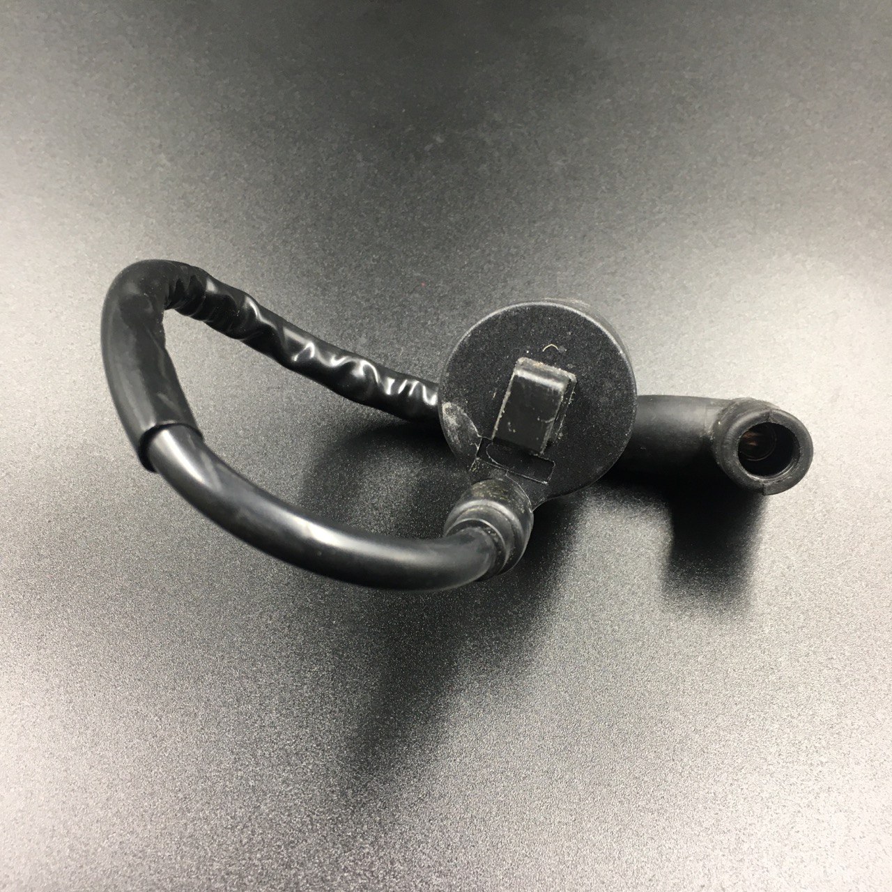 photo5433940778805210896