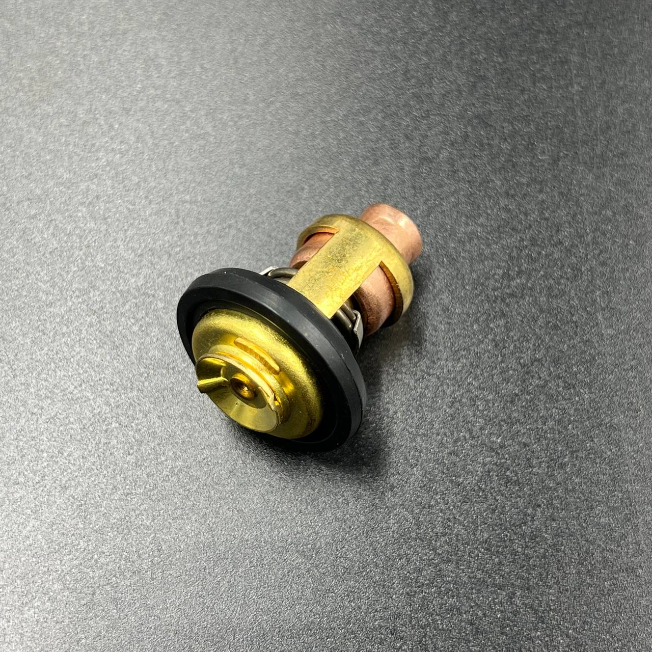 IMAGE 2023-09-20 00 15 27