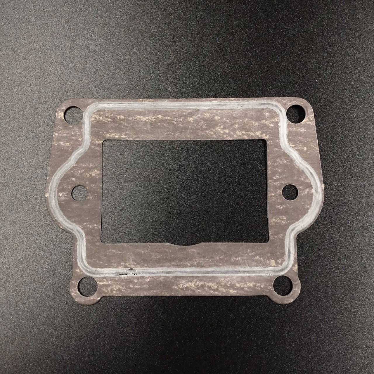 photo5307517879576538948