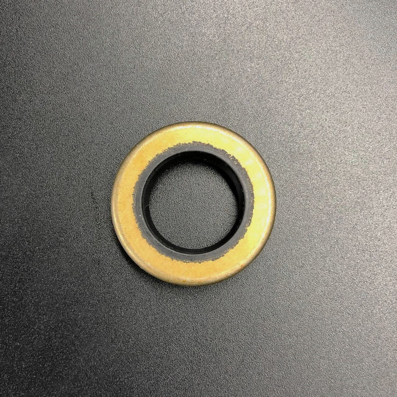 photo_2024-01-31_17-56-19