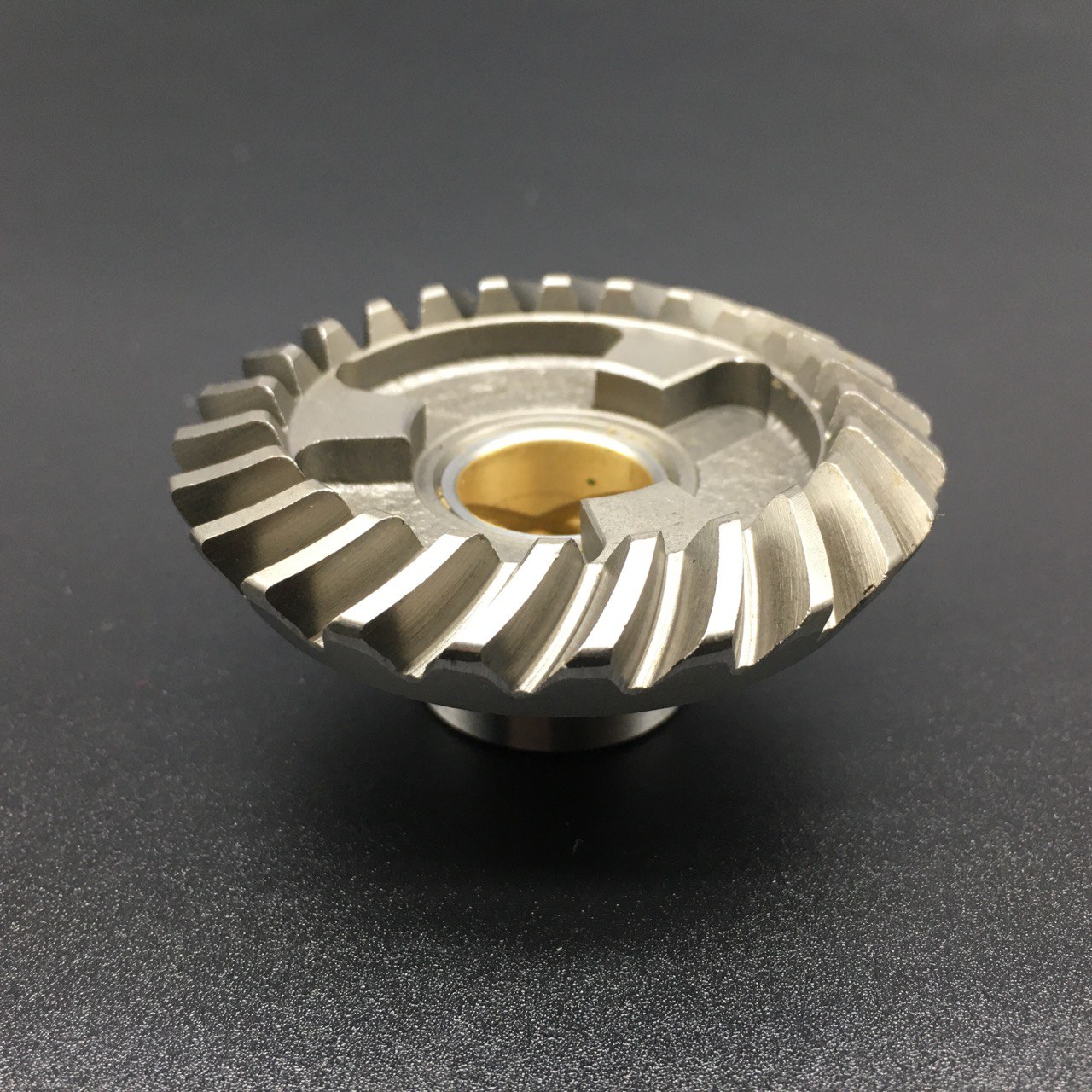 photo5253792670541788129