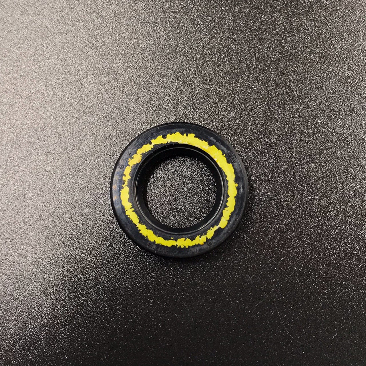 photo5316907339510557979