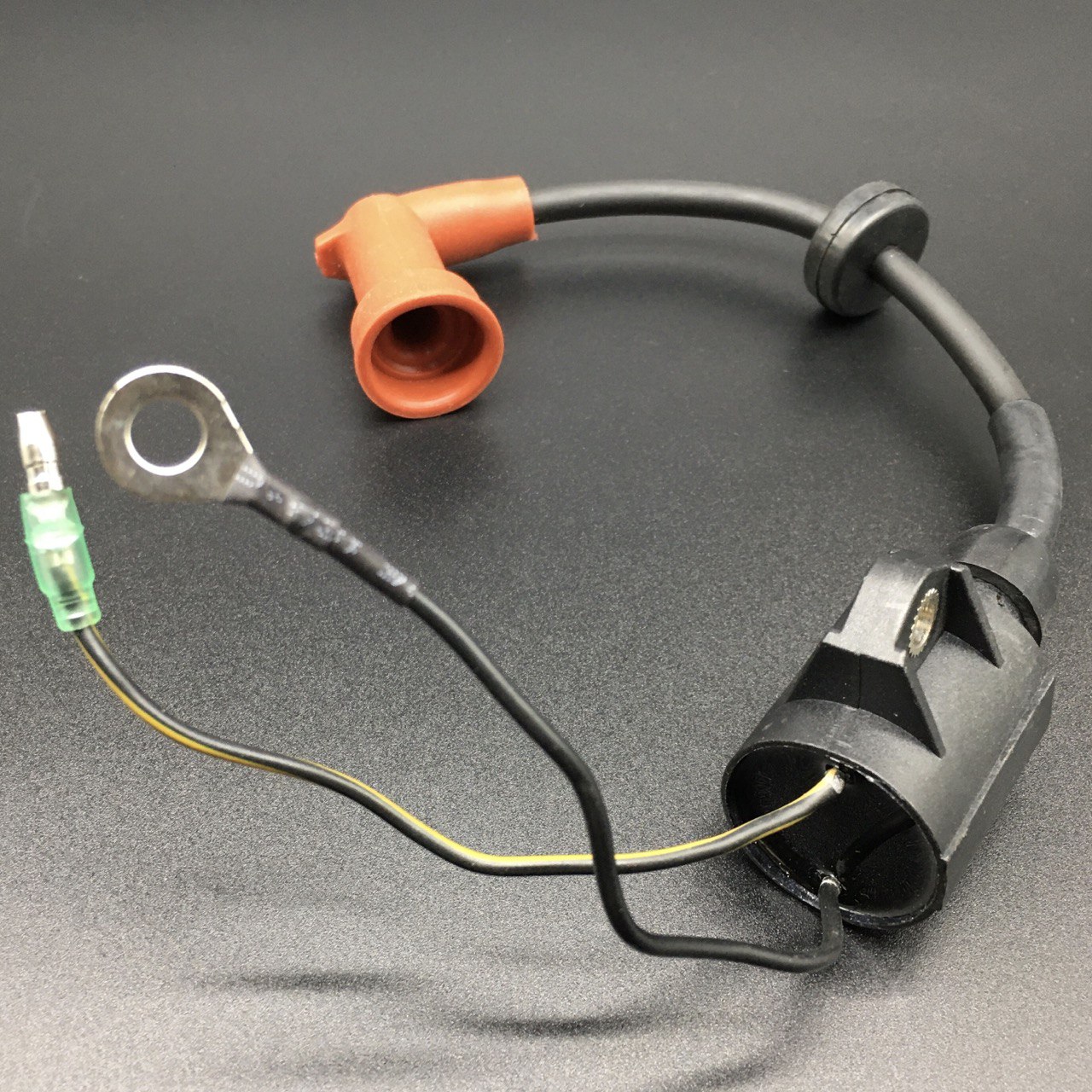 photo5226691916530298685