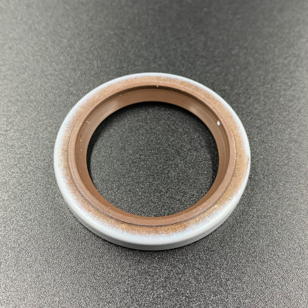 photo5424984986014035329