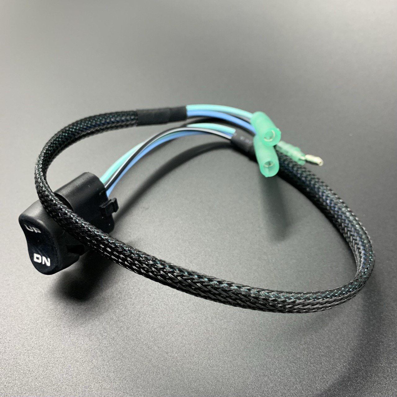 photo5294025381550076448