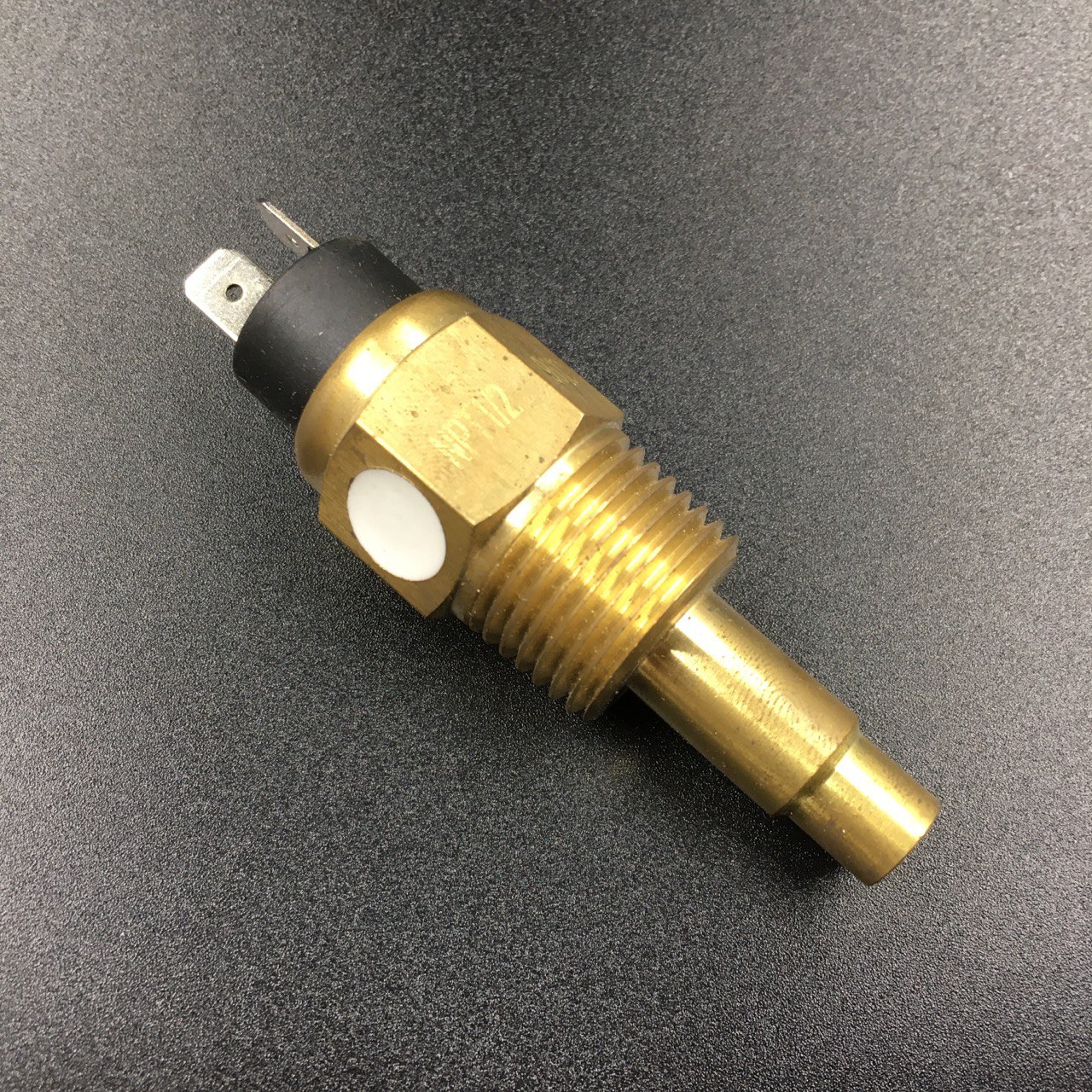 photo5219845158839890056