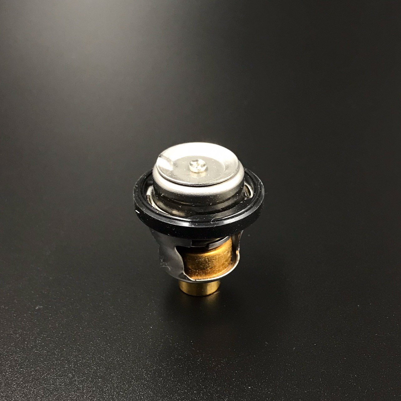 photo5316907339510558001