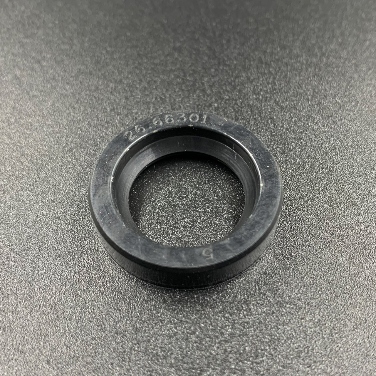 photo5424984986014035343