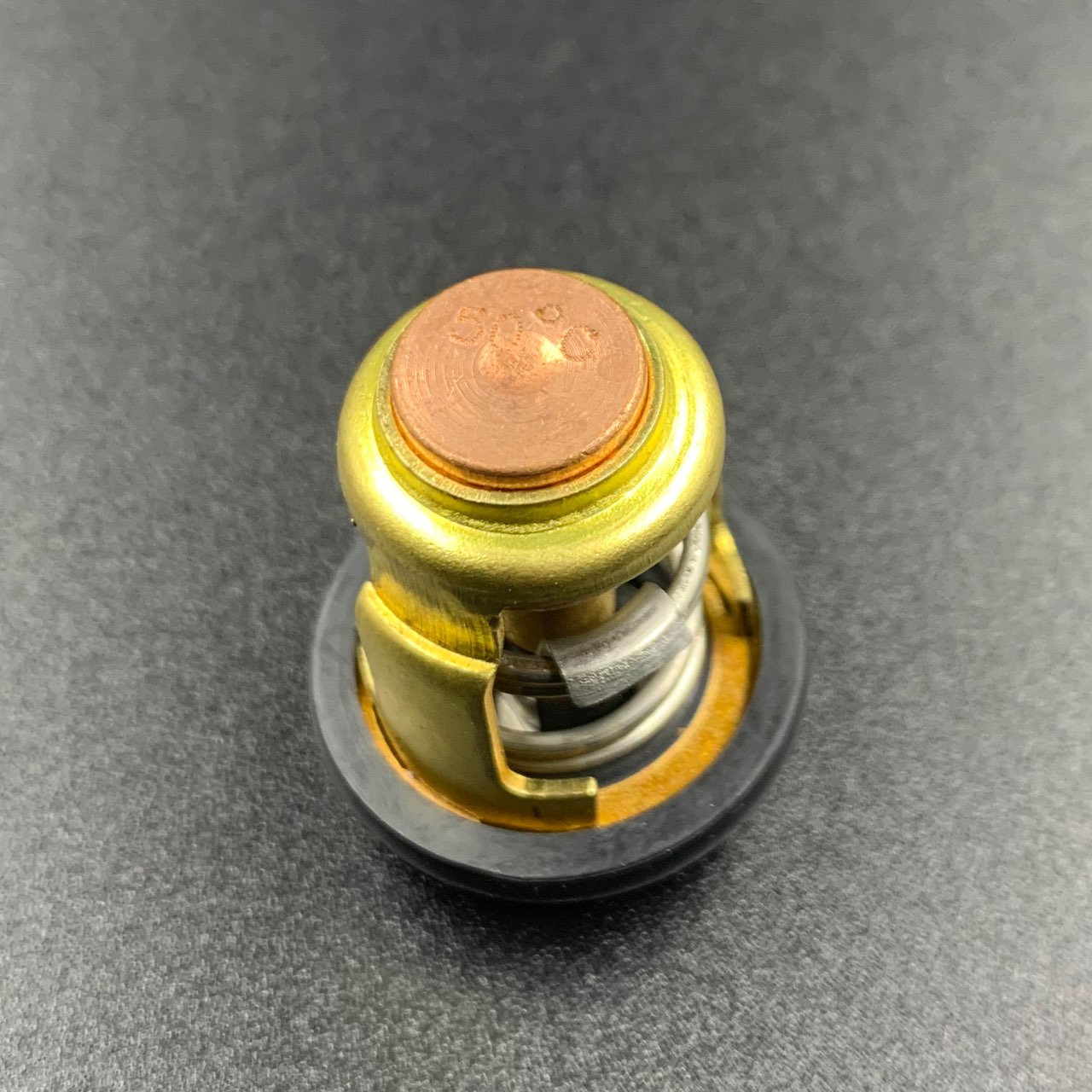 photo5424984986014035458