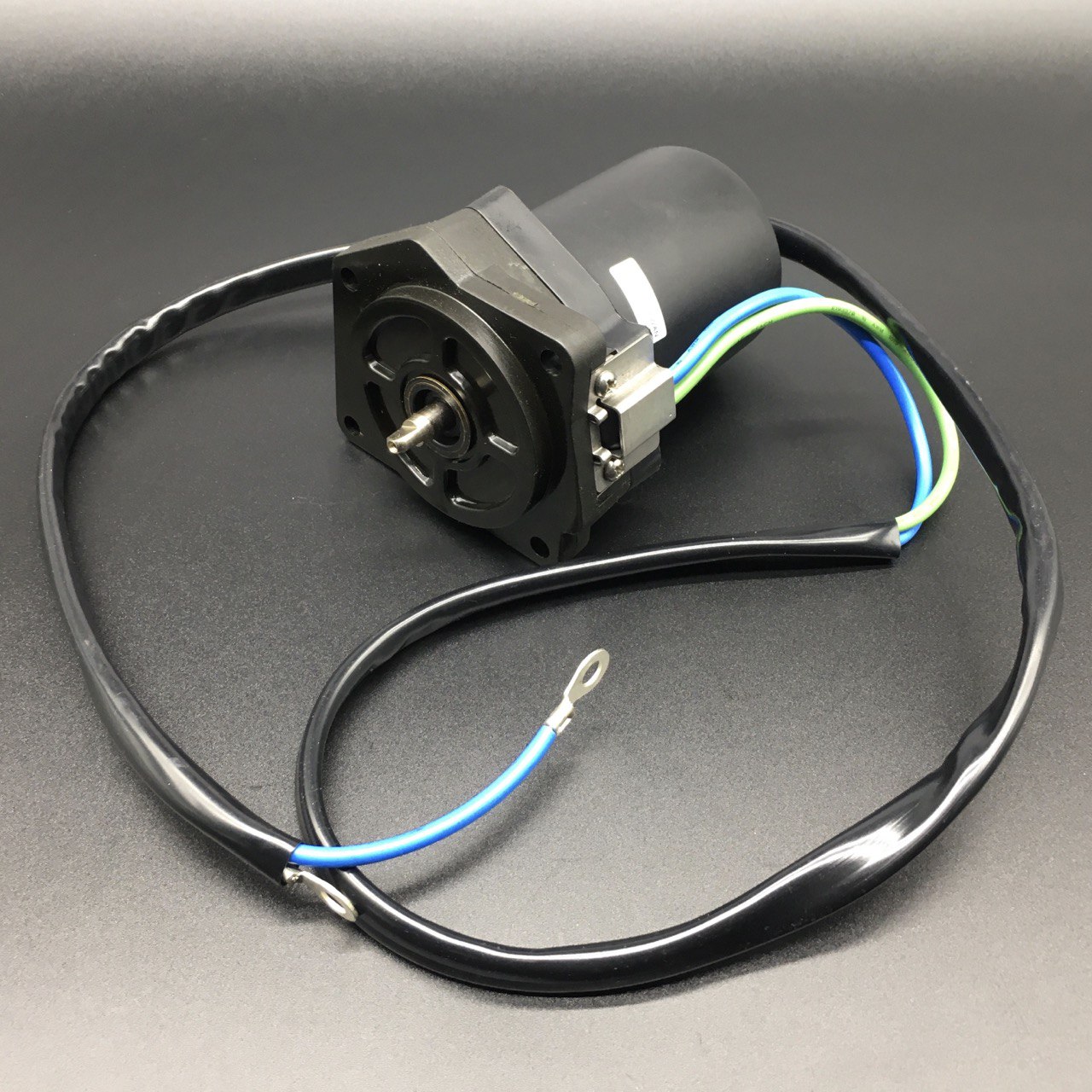 photo5247226052093259810