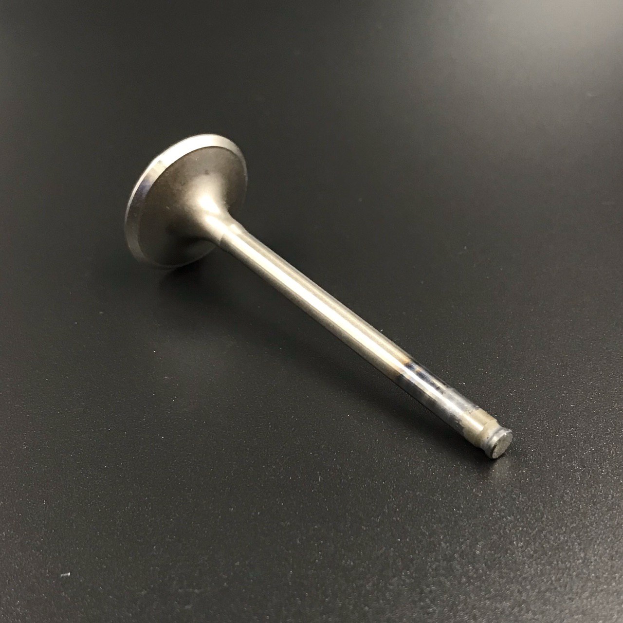 photo5309769679390223930