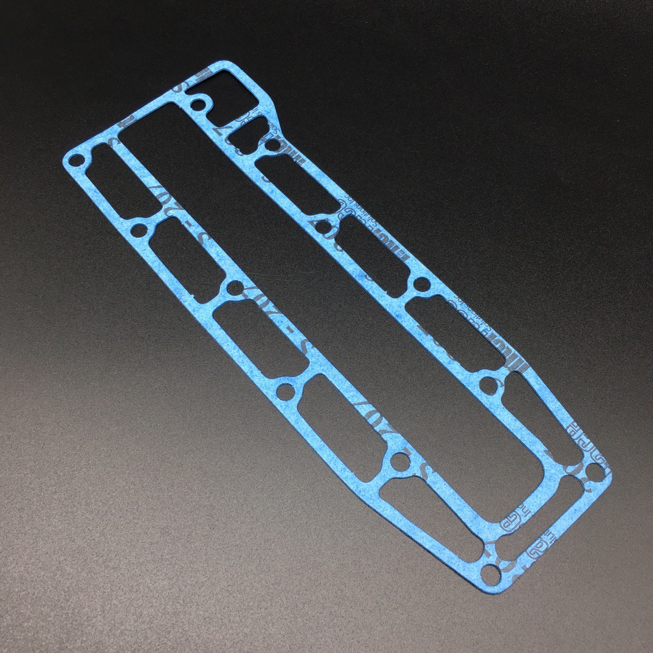 photo5251540870728102599