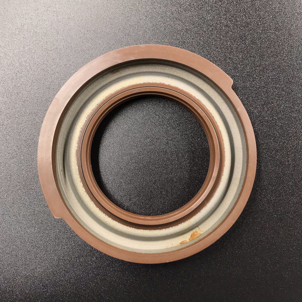 photo5316907339510558031