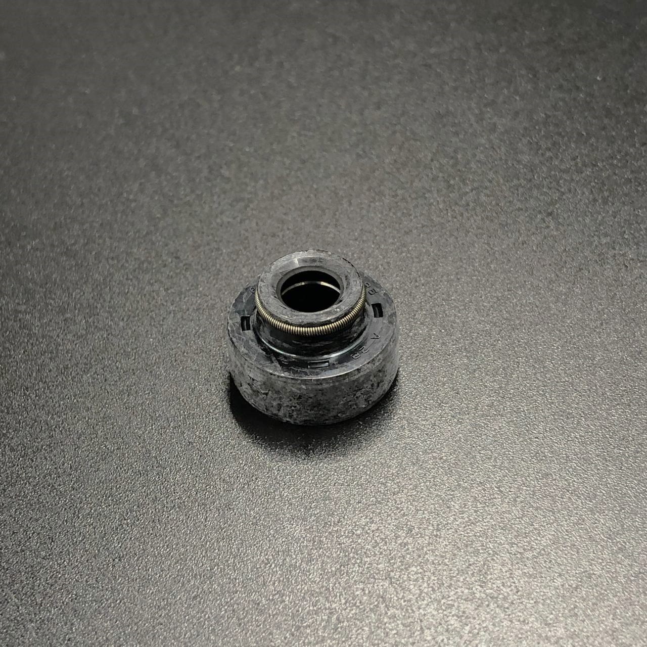 photo_2024-01-31_17-56-35