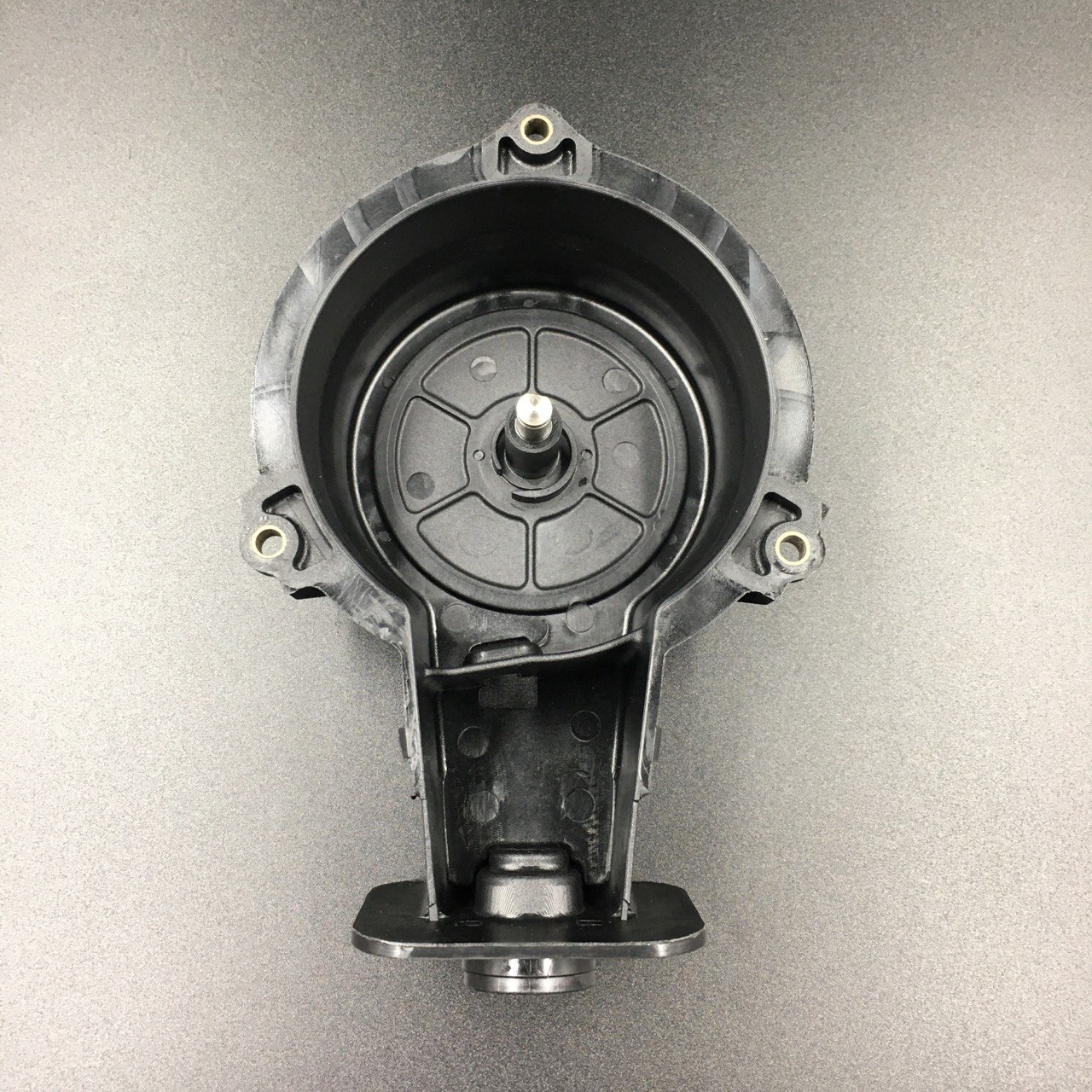 photo5453995613197806940