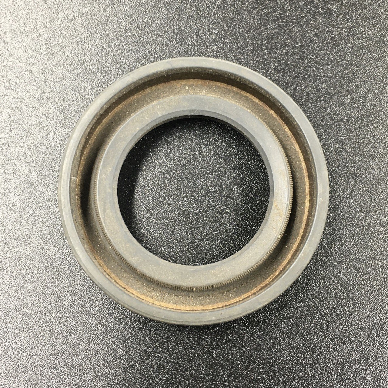 photo5386779598353706722