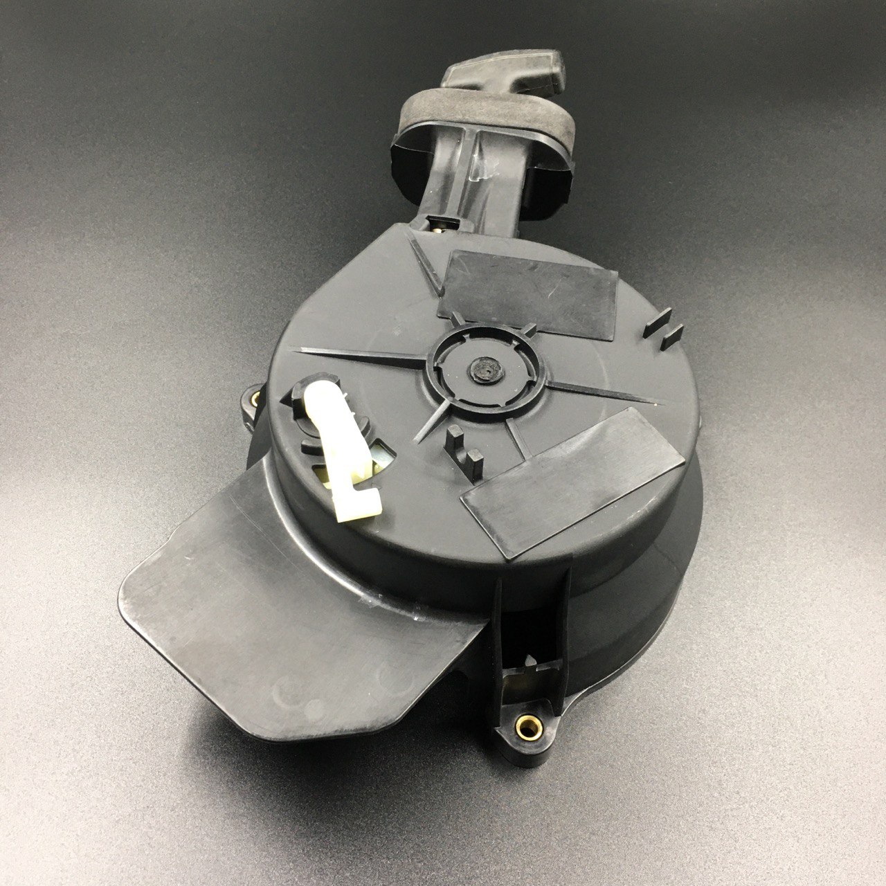 photo5453995613197806927