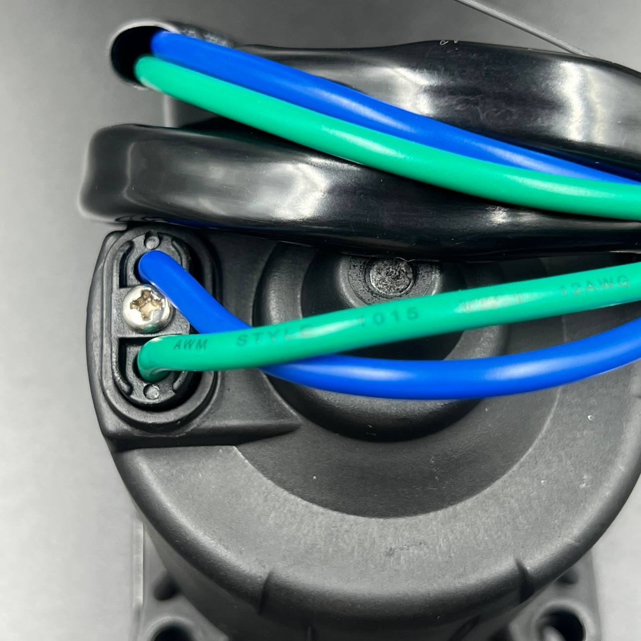 IMAGE 2023-08-29 03 39 02