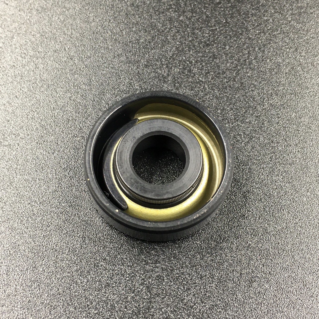 photo5364176671533543324