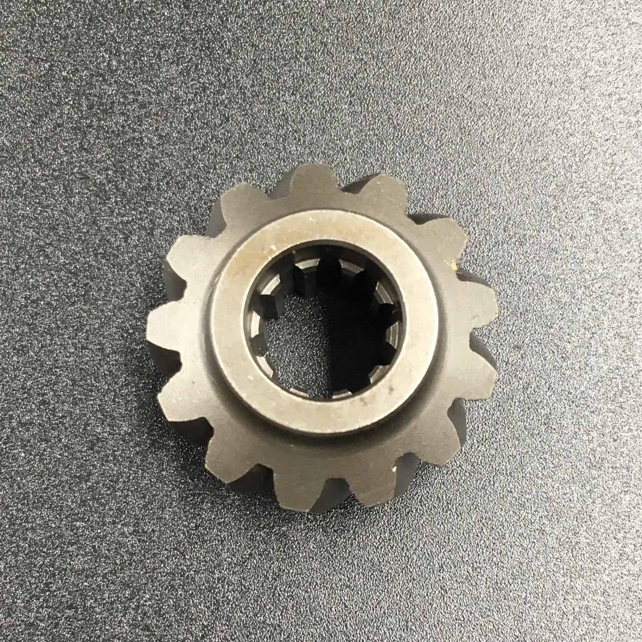 photo5411170764872331407