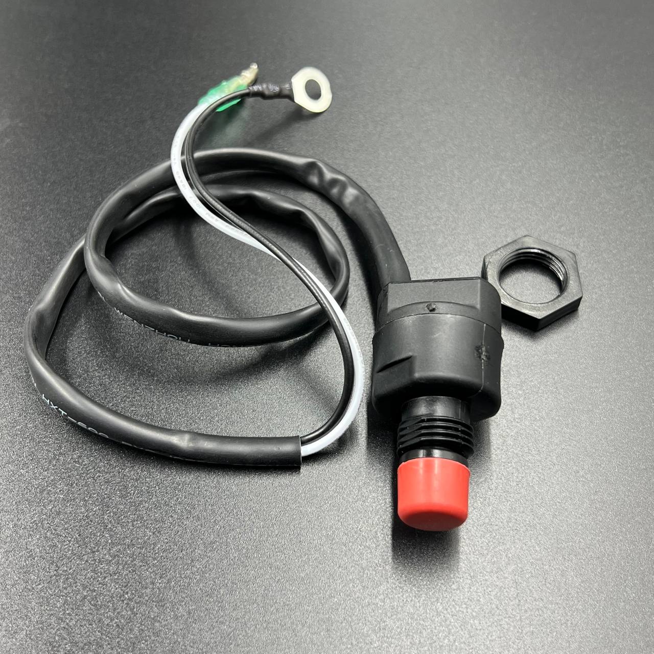 IMAGE 2023-09-12 00 34 54