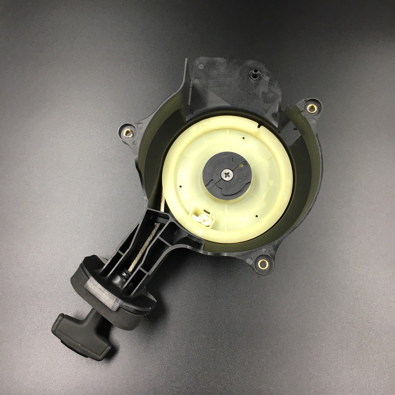 photo5453995613197806928