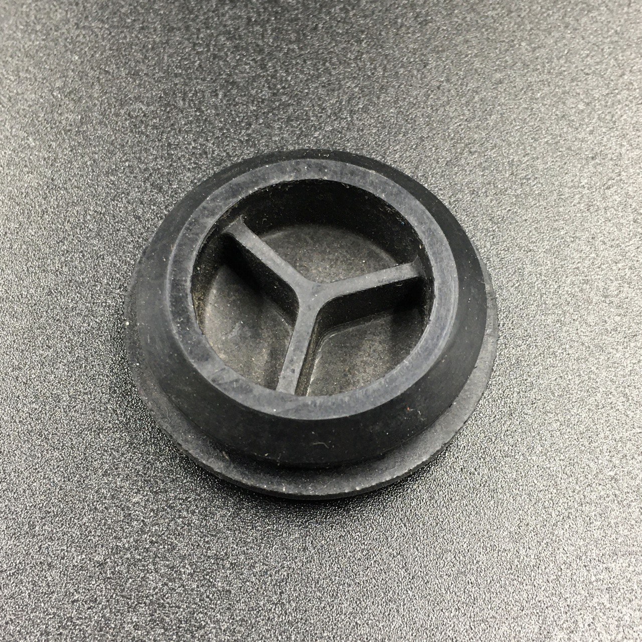 photo5449372484630588905