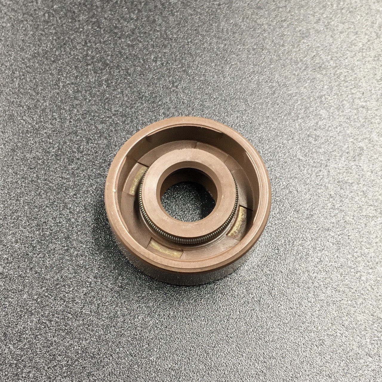 photo5449372484630588838