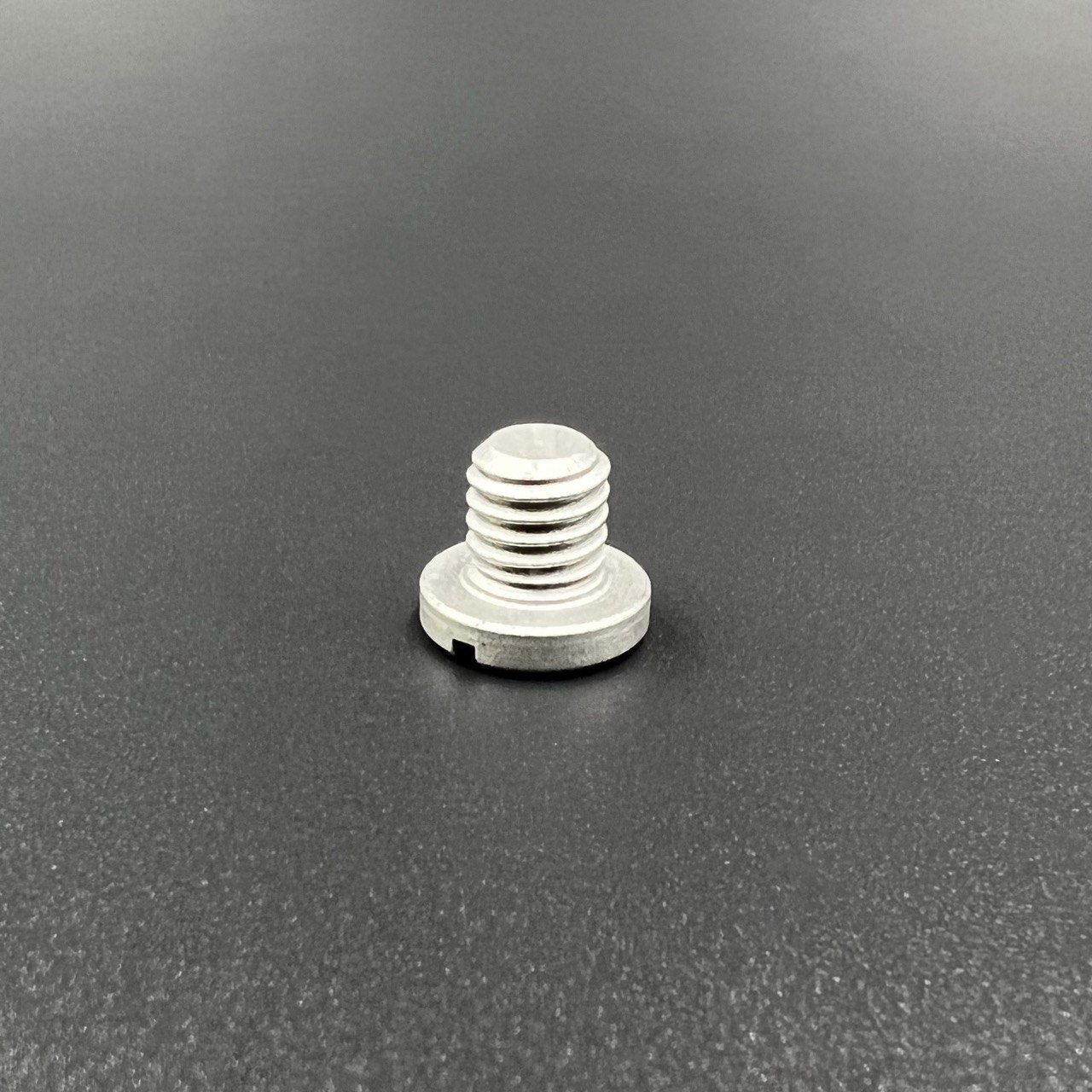 photo_2022-06-24_17-19-47