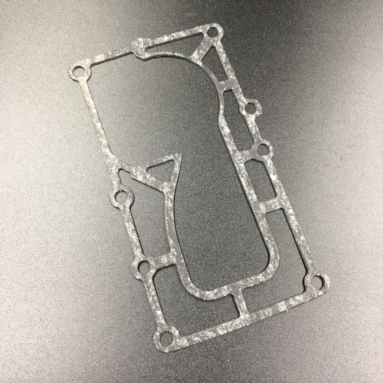 photo5348055846795456306 (1)