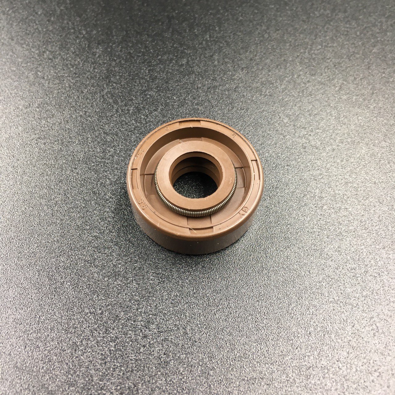 photo5447120684816903961