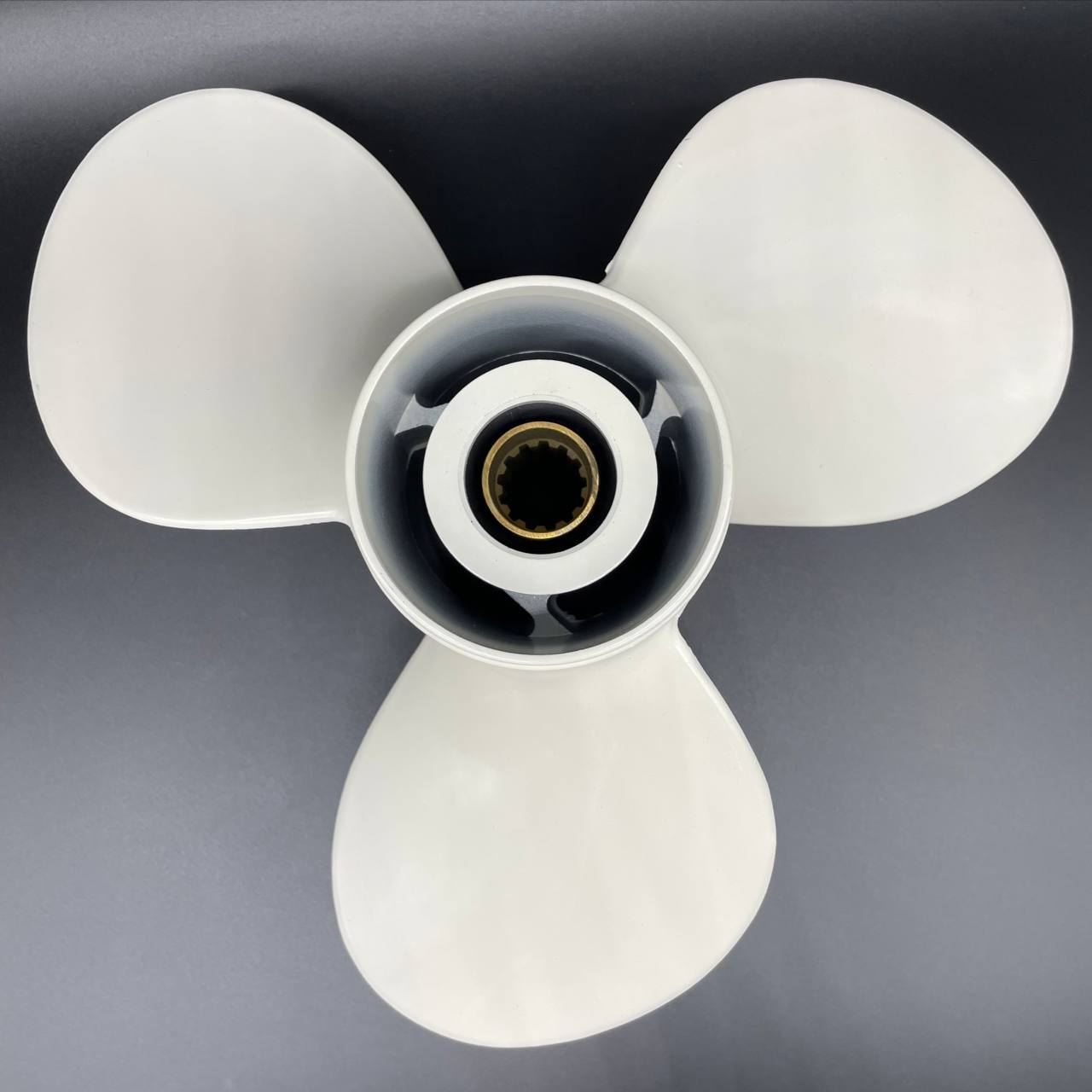 photo5296604801469100384