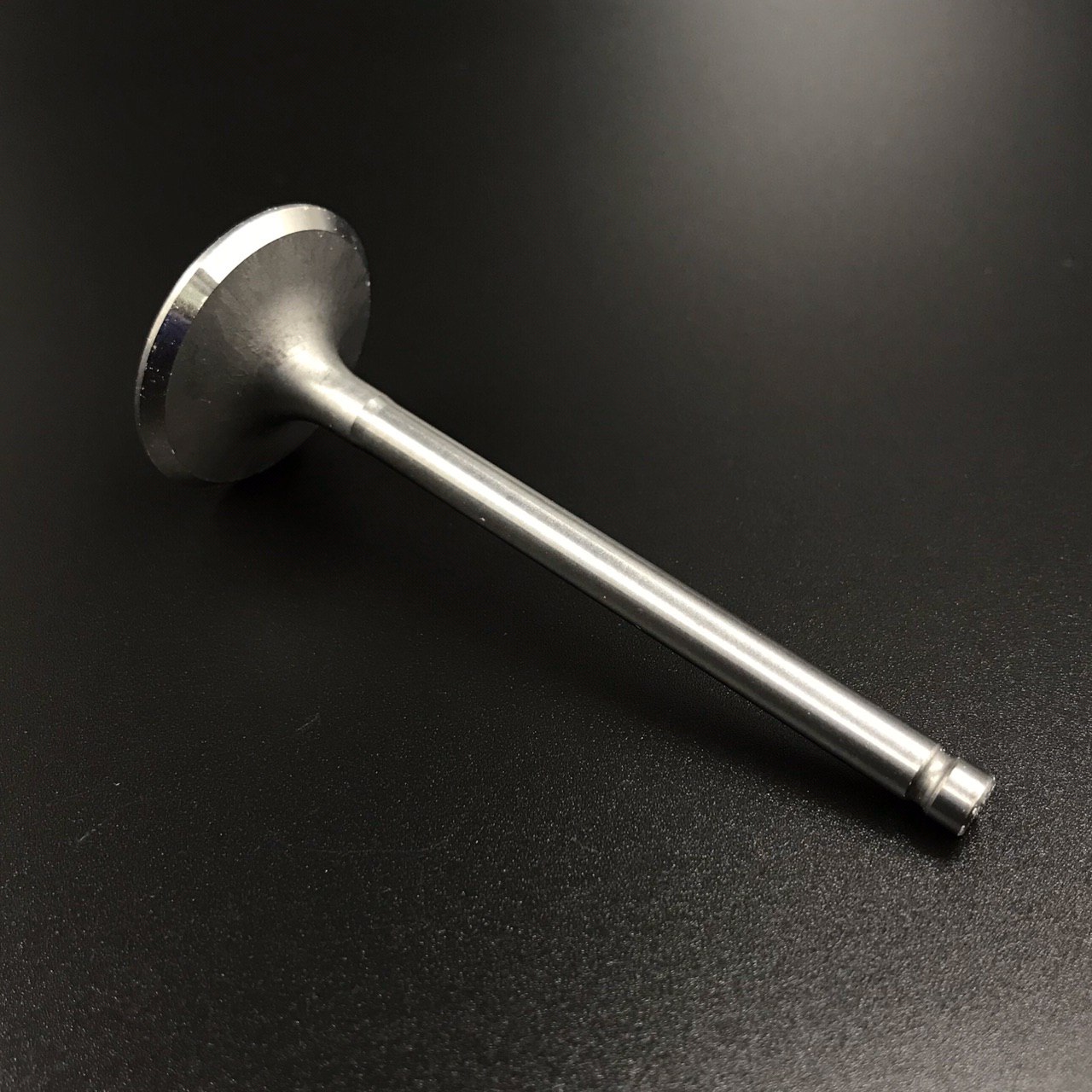 photo5316907339510557953