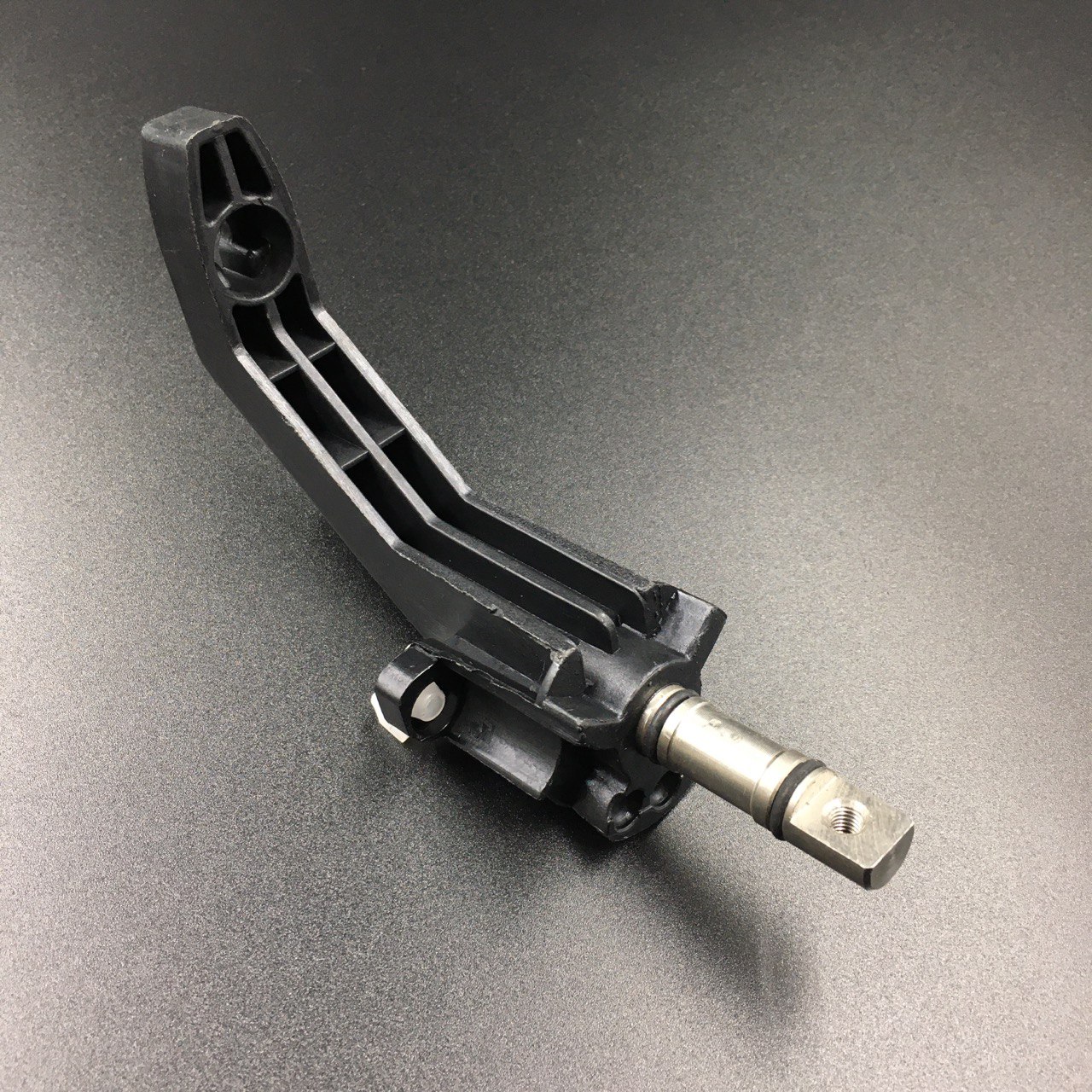 photo5444868885003219023