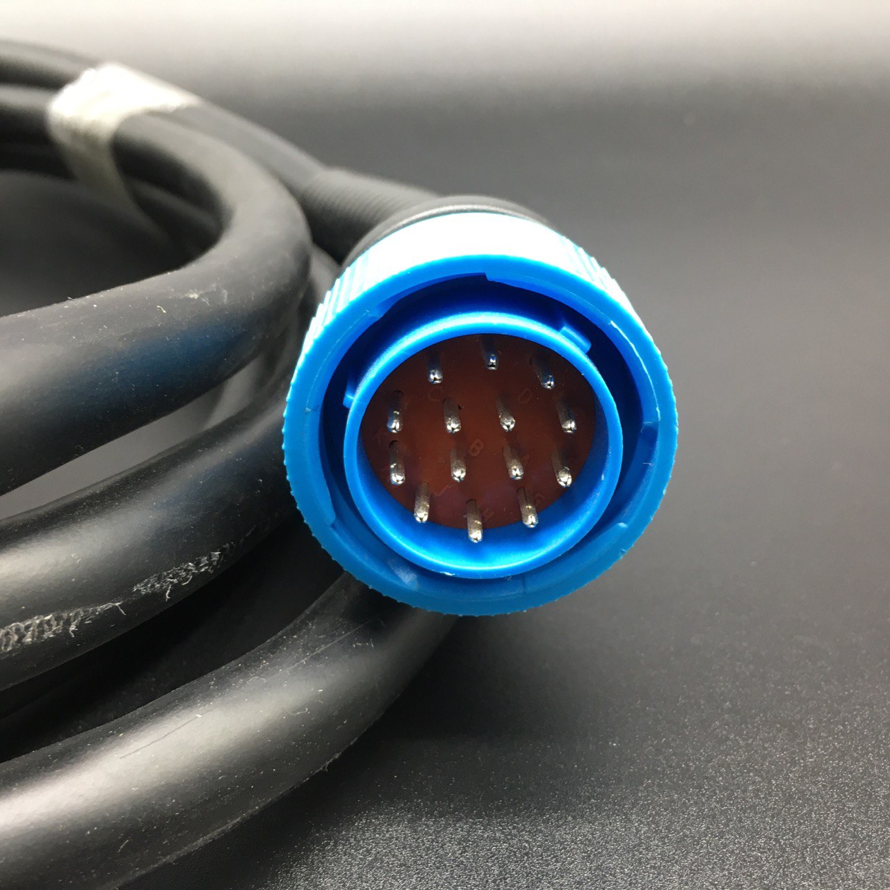 photo5249477851906946152